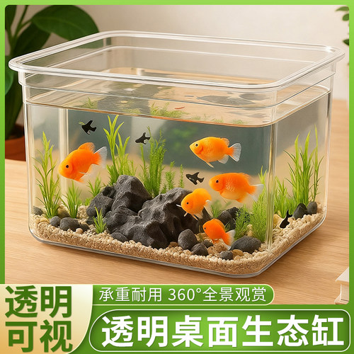 桌面鱼缸客厅2025新款透明塑料缸