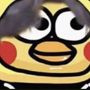 凌诚测试商品请不要拍预售