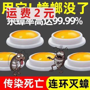 螂药家用一窝端屋器灭大神小通杀饵胶厨蟑房室捕卧捉器无毒除杀死