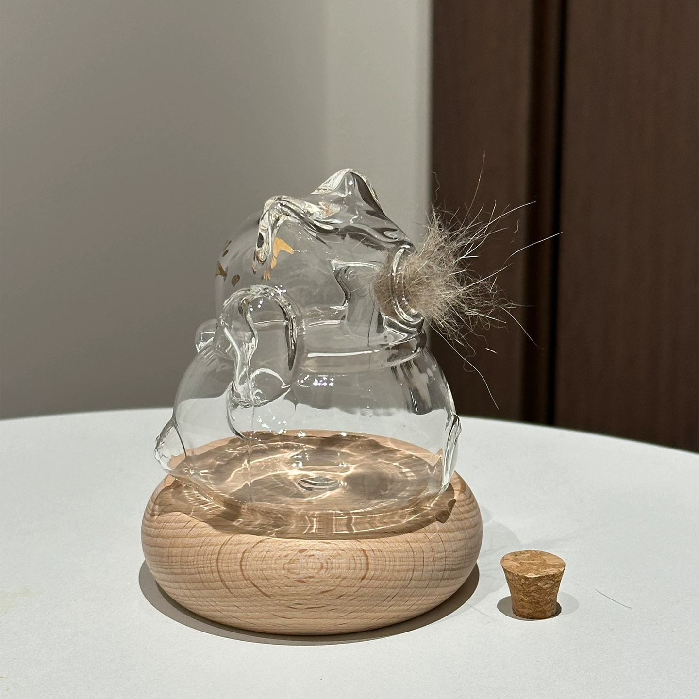 猫毛收纳透明玻璃扭蛋瓶招财猫瓶迷你瓶猫毛收集储存罐发财摆件