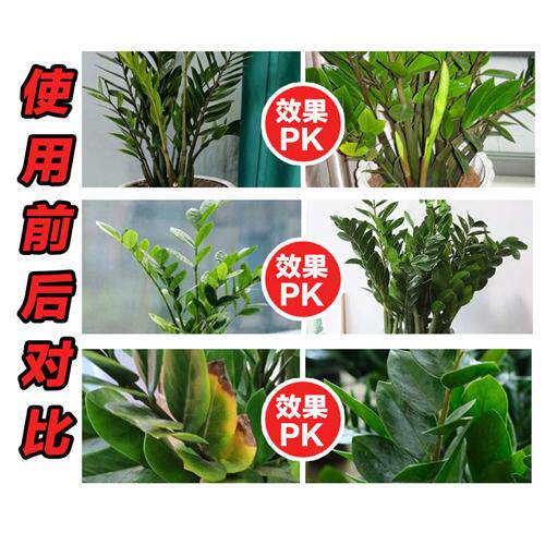 金钱树肥料专用肥营养液花肥料室内发财树幸福树防黄叶颗粒缓释肥