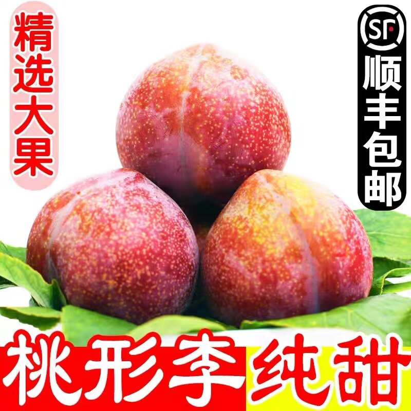 正宗浙江嵊州金庭桃形李红心李子新鲜水果三华李5斤礼盒精选大果