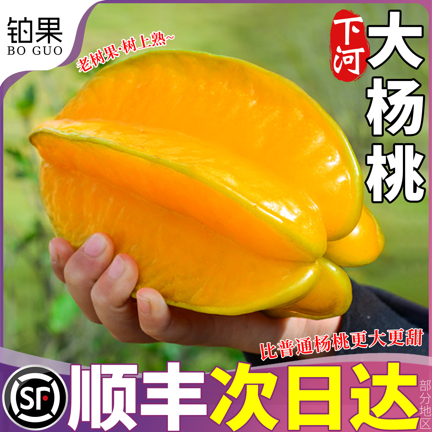 顺丰大果 5斤漳州下河杨桃新鲜水果五角星现摘当季正宗整箱包邮甜