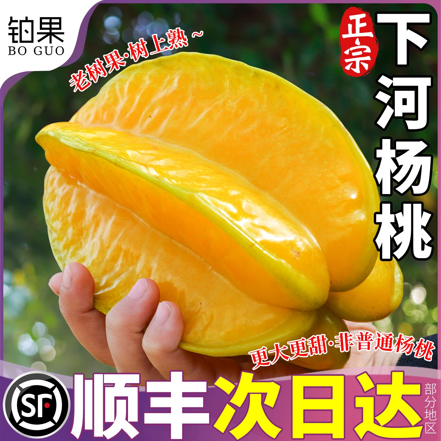 顺丰5斤 下河杨桃新鲜水果大果当季整箱网红洋桃甜杨桃五角星水果