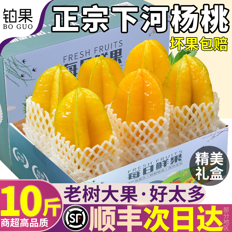 顺丰大果10斤下河杨桃新鲜水果鲜果福建漳州树上熟洋桃应季现摘甜