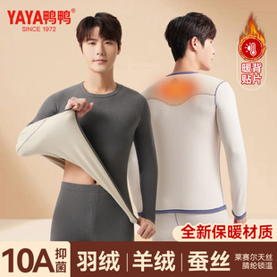 秋冬2025新款 YAYA 套装 加绒加厚羊毛蚕丝秋衣裤 鸭鸭保暖内衣男款
