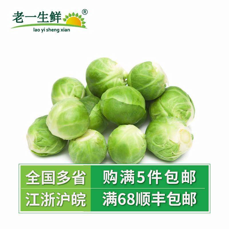 【老一生鲜】 新鲜抱子甘蓝500g小甘兰孢子甘蓝小包菜球芽甘蓝