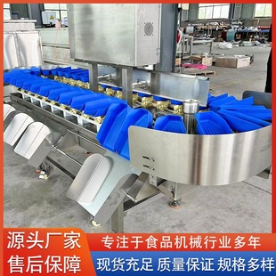 鸡爪腿翅块重量分拣流水线 多级可选上料分选机 猕猴桃重量分拣机