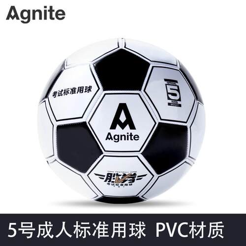 得力安格耐特FD205足球5号训练球