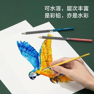 得力纽赛NS731 48纽赛水溶性彩铅色彩鲜艳学生绘画考试用彩色铅笔