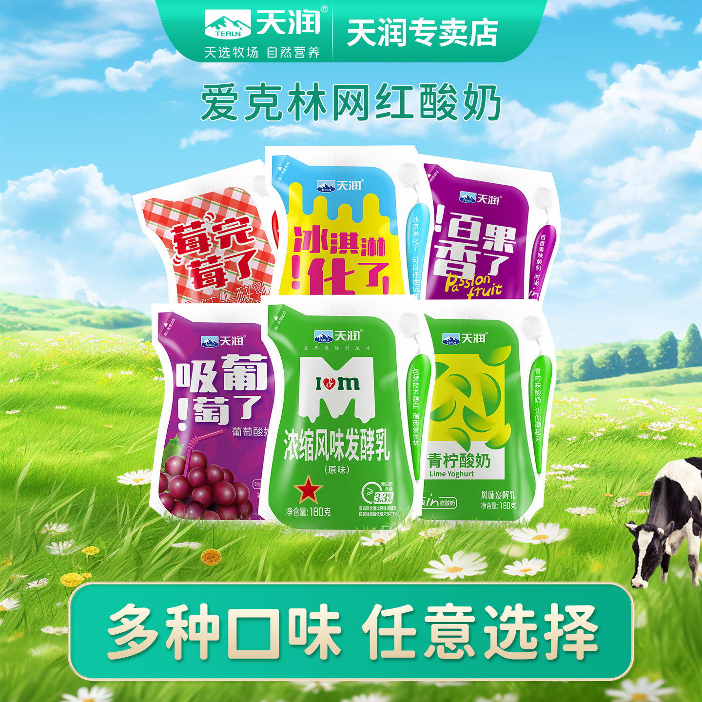 天润新疆低温浓缩休闲爱克林多袋装网红酸奶180g*12