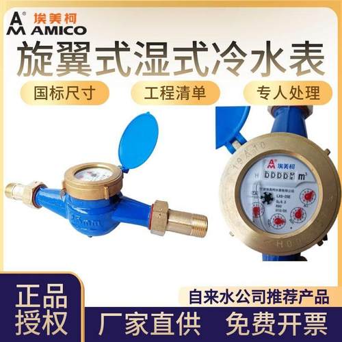 埃美柯LXS-E铁壳099旋翼湿式冷水表DN15 20 25 32 40 50 4分6分