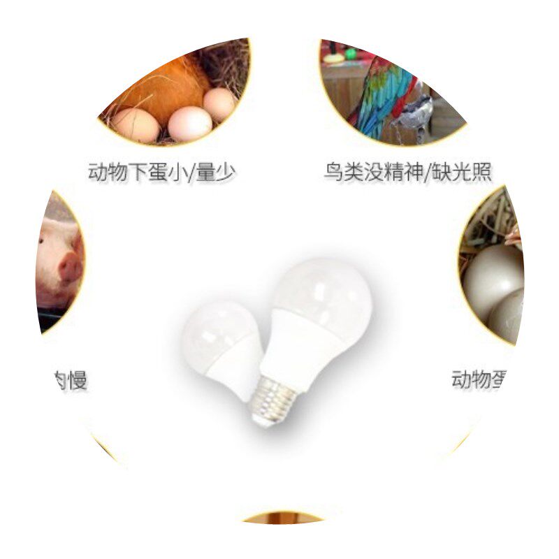 。动物补光灯管鹦鹉鸟类繁殖下蛋畜牧鸡场鸟舍养殖设备用品室内用