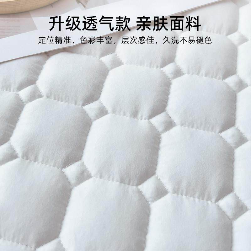床笠棕垫薄垫专用床垫软垫卧室家用防滑垫子保护垫单人铺床垫被褥