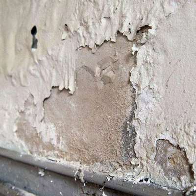 墙体除霉剂去霉斑墙布发霉清除剂壁纸霉点霉斑墙体墙面霉菌清洁剂