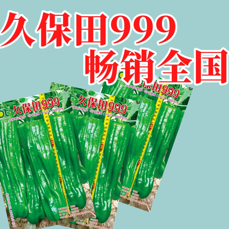 抗热抗糊头久保田999辣椒种子薄皮椒种籽虎皮椒种子早熟大果四季