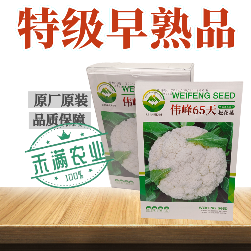 基地优品伟峰65松花菜种子春秋花菜种籽花椰菜籽早中熟青梗松花菜
