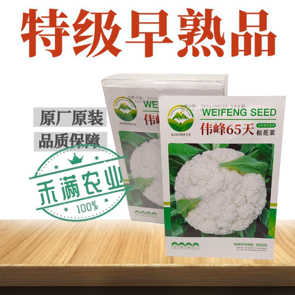 基地优品伟峰65松花菜种子春秋花菜种籽花椰菜籽早中熟青梗松花菜