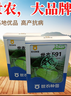 世农平顶甘蓝种子高产包菜卷心菜莲花白种籽春秋农家大田蔬菜种孑