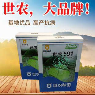 世农平顶甘蓝种子高产包菜卷心菜莲花白种籽春秋农家大田蔬菜种孑