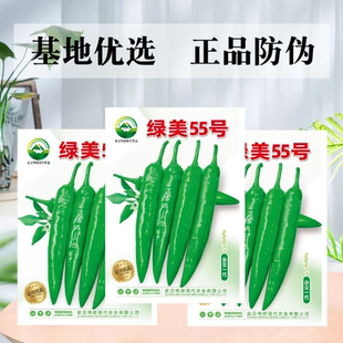 【绿美55号】薄皮羊角椒皱皮辣椒种子基地优选越夏延秋种植种籽