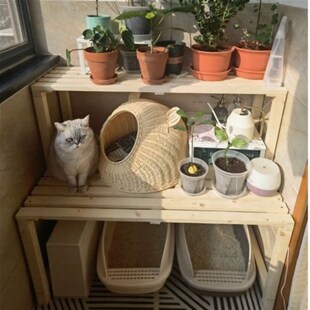 速发#架实木花架纯用台储物架猫砂盆上方置物架阶梯式猫爬家多层