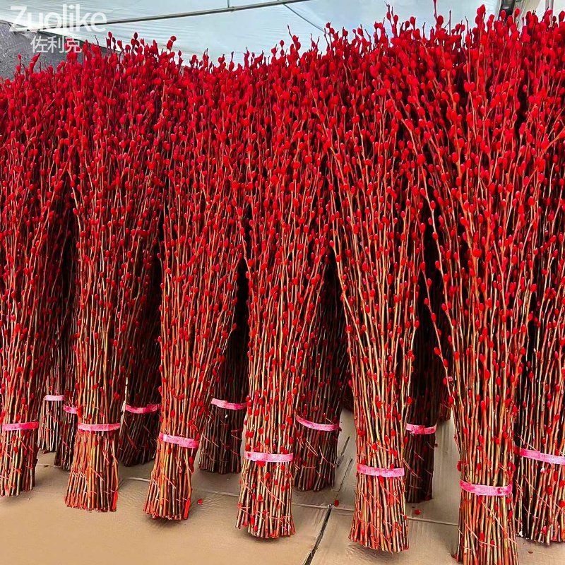 速发银花内花鲜枝年宵花卉红色乾燥柳福桶银柳水培植物雪柳客厅室,鲜花速递/花卉仿真/绿植园艺,造型盆景,淘宝优惠券,粉丝福利购,淘宝优惠卷