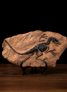 速发恐龙标摆本件霸王室模型工艺品办公龙书架摆设复古装饰品