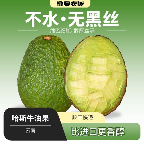 云南哈斯牛油果 | 国产牛油果 比进口牛油果更绵密【到货需催熟】