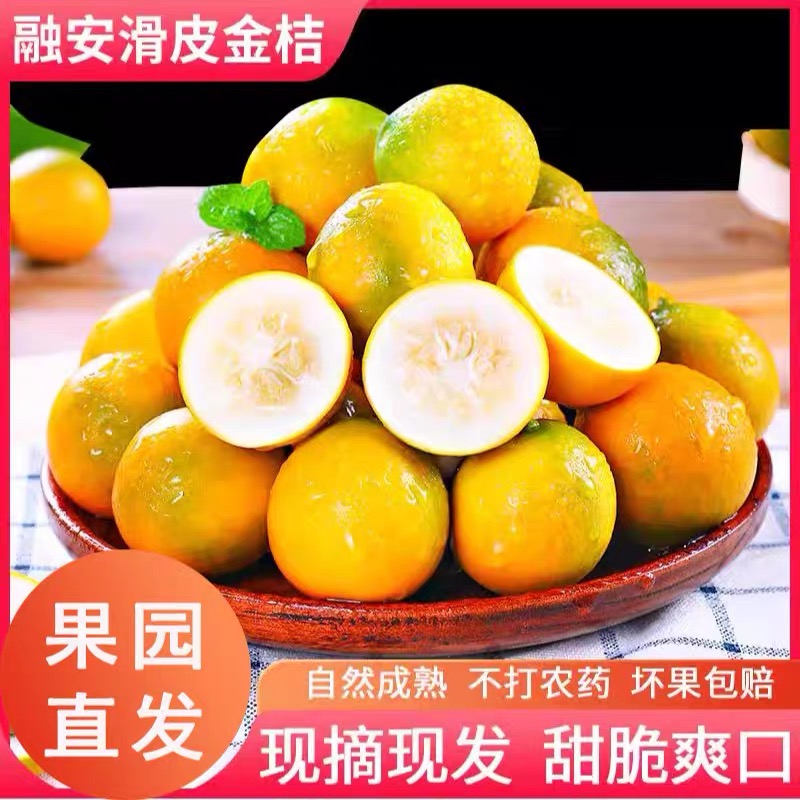 广西融安金桔滑皮金桔口感纯甜皮脆新鲜应季水果二代金桔【精选】