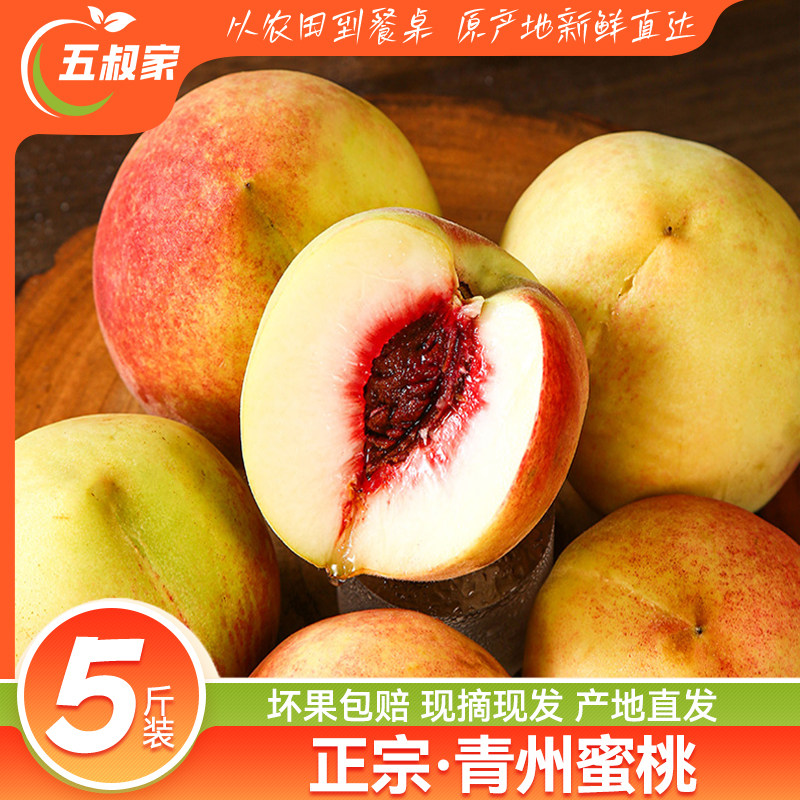 【五叔家】正宗青州蜜桃3斤5斤山东脆桃应季水果毛桃脆甜多汁