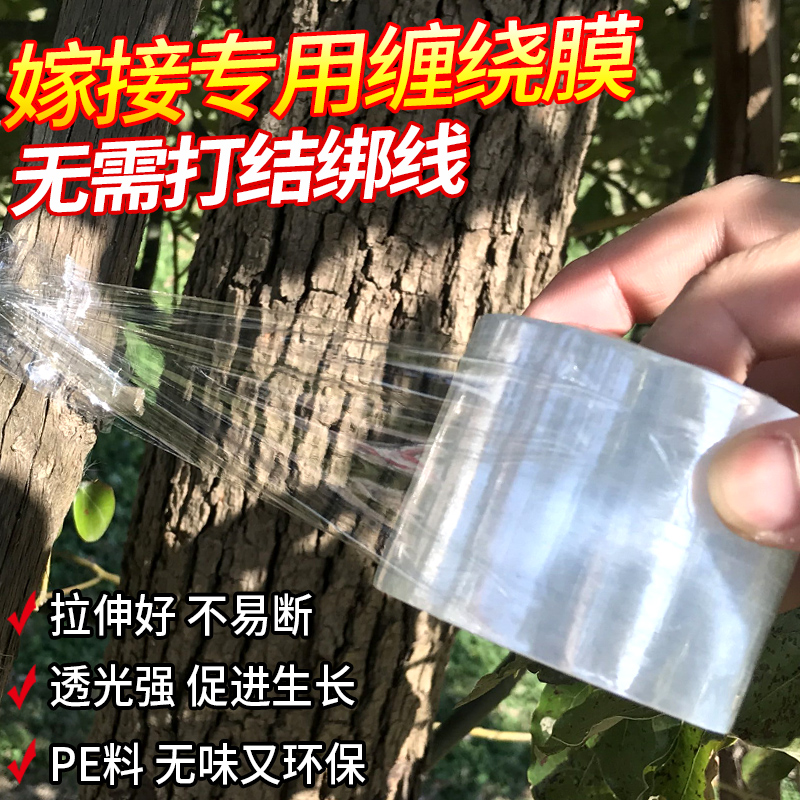 日本糯米纸嫁接膜专用膜免拆果树工业pe膜透明胶带自粘式无需打结
