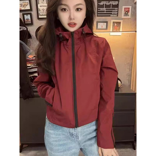 短款外套女小个子2026春季新款