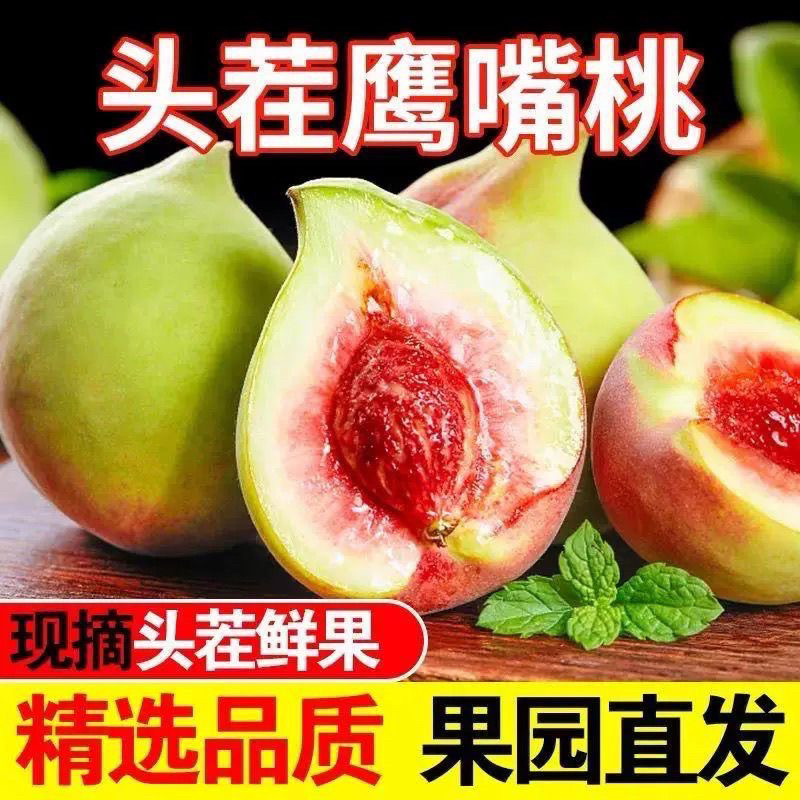 【甜蜜爽脆】正宗连平鹰嘴桃现摘水蜜桃当季桃子脆桃毛桃整箱批发