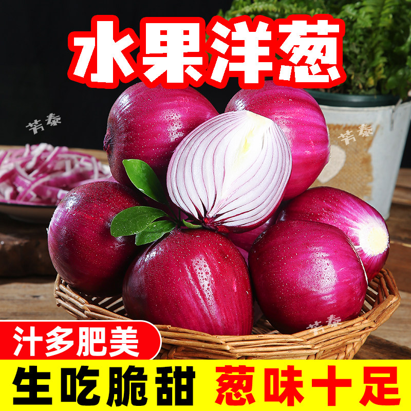 云南紫皮水果洋葱10新鲜小洋葱甜味生吃蔬菜不辣红皮大圆葱头批发
