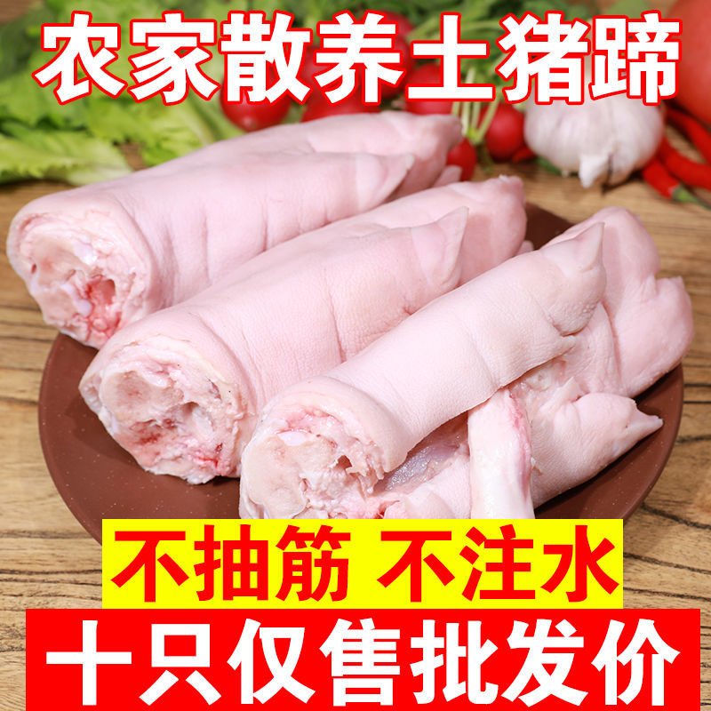 新鲜带皮猪蹄猪脚蹄子带筋生鲜免切冷冻生猪脚切块猪蹄块蹄尖批发图片