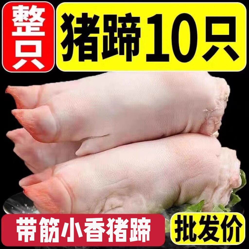 现杀带筋土猪蹄10只新鲜整只农生猪肉