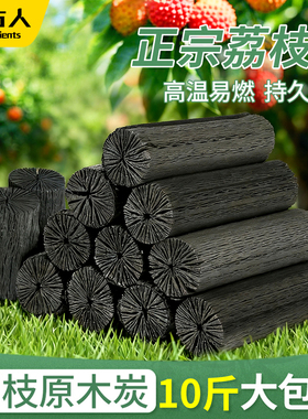 果木炭烧烤碳无烟家用碳烤炉专用纯木炭围炉煮茶正宗荔枝原木炭块