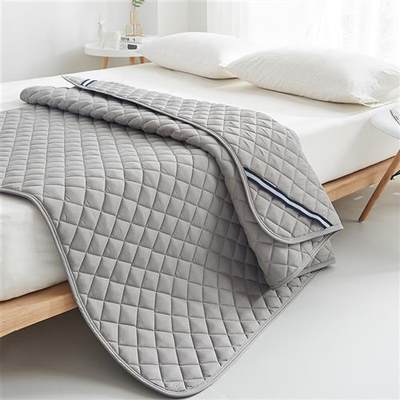 床垫床褥垫薄款软垫家用垫被褥子防滑可水洗单人宿舍铺床保护垫