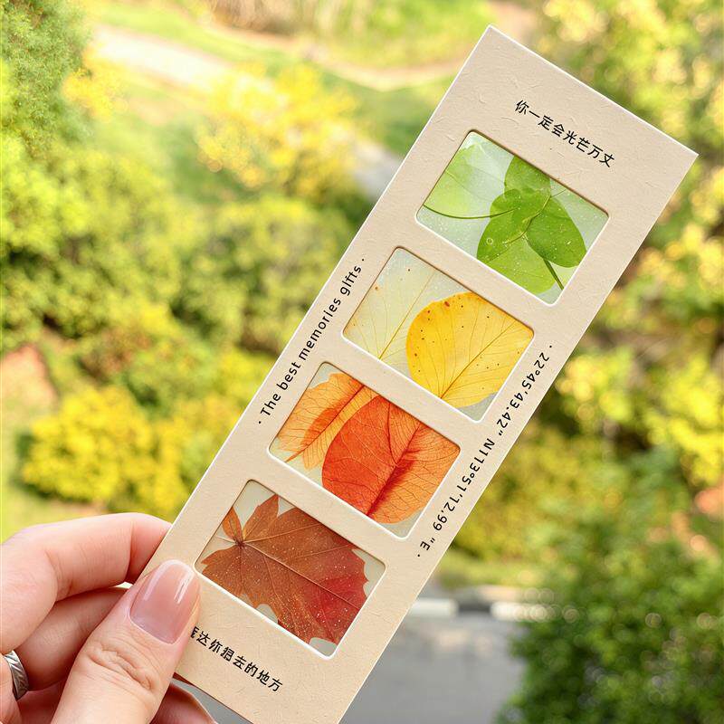 落叶书签diy材料包ins风胶片空夹纸质片框幼儿园秋季环创主题工具