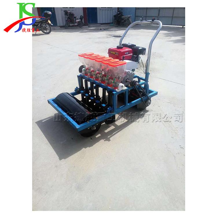电动多行可调种子播种机 手推式蔬菜辣椒种植机 萝卜菠菜播撒机