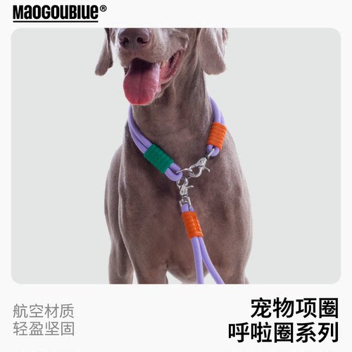maogoublue猫狗蓝狗狗项圈中大小型犬不勒脖狗脖套狗颈圈