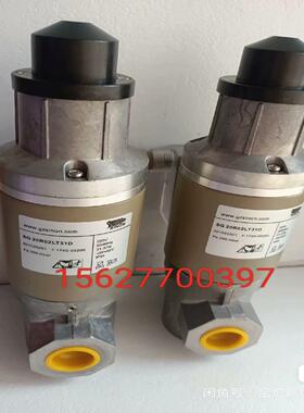 SG20R02LT31D施能慢开电磁阀DG25R02NT31