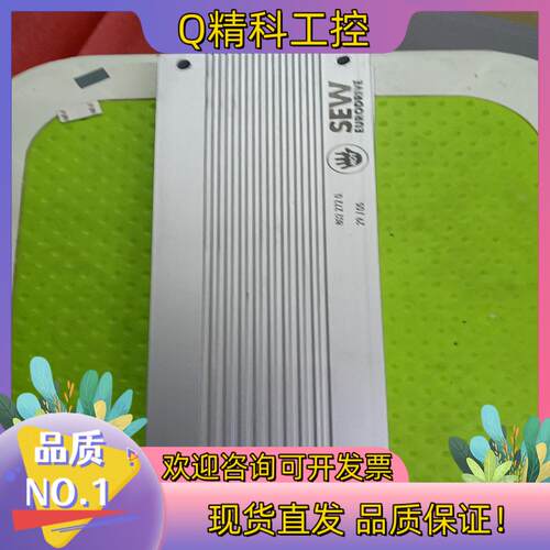 BW100-005赛维刹车制动电阻100欧/500
