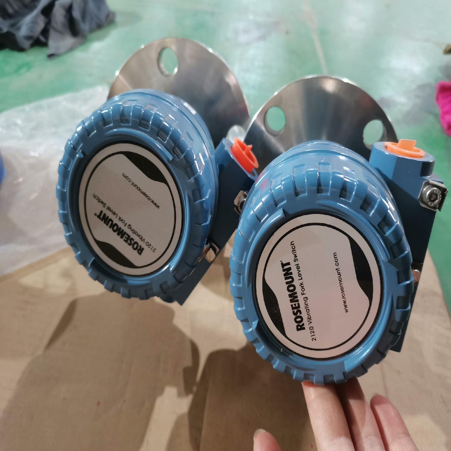 罗斯蒙特音叉液位开关2120，2120F2GK1I1XM02