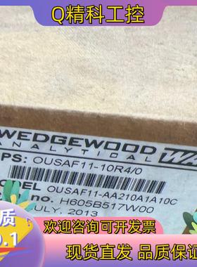 现货E+H OUSAF11-AA210A1A10C  WEDGE