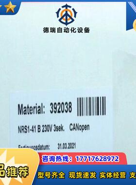 GESTRA NRS 1-41B 杰斯特拉全新高液位报警仪议价