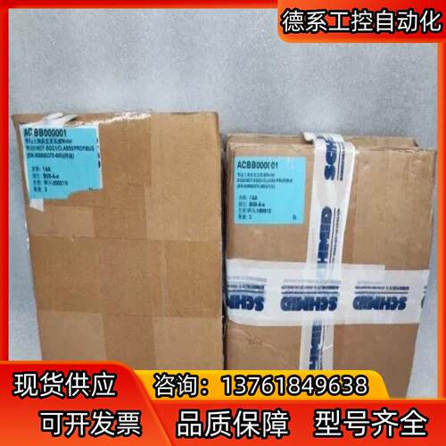 SCHMID SV23165DT-SGG1 无刷直流电机 伺