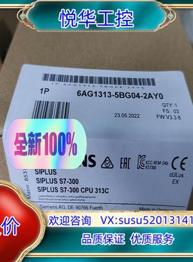6AG1313-5BG04-2AY0议价
