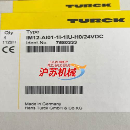 IM12-AI01-1I-1IU-H0/24VDC